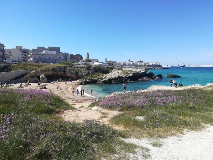 דירות מונופולי Eco Del Mare Locazioni Turistiche מראה חיצוני תמונה